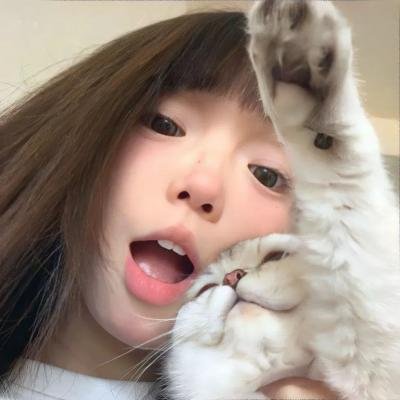 克努特和他的朋友们